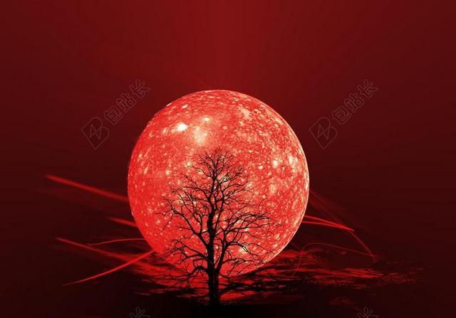 背景 红色 月亮 壁纸 抽象 树 图形 装修 设计 模式