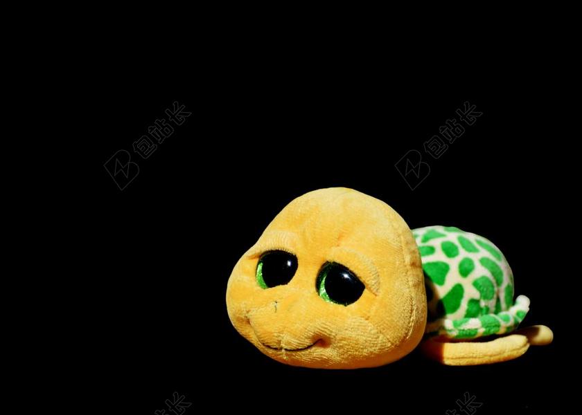 龟 毛绒动物 毛绒玩具 玩具 可爱 闪闪发光的眼睛 滑稽 甜