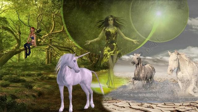 幻想 独角兽 小精灵 森林 神秘主义 马 神秘生物 照片蒙太奇
