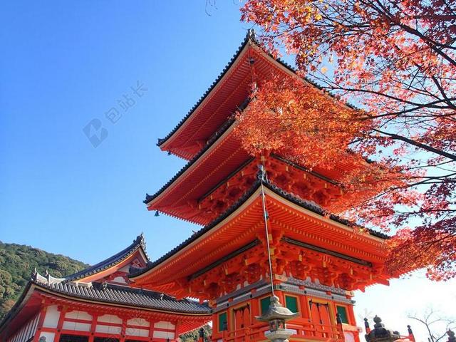 红叶狩 京都 秋天