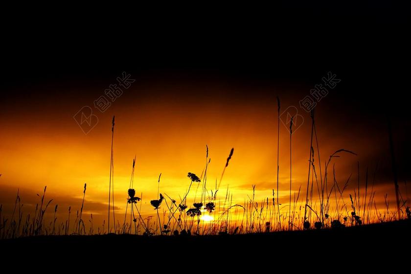 日落 天空 草地 阳光 草 休息