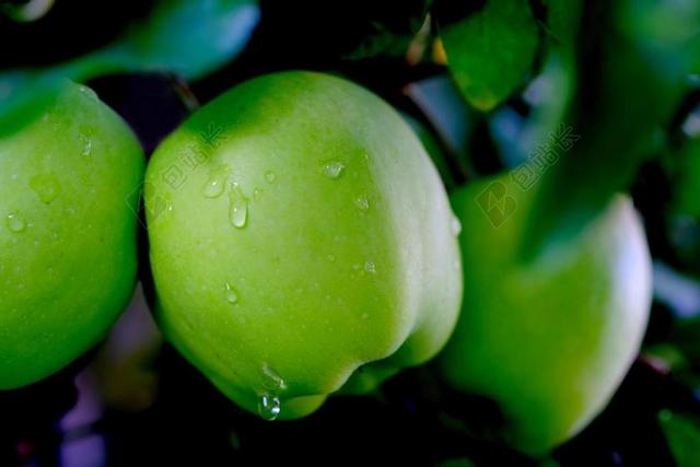 苹果 雨 水果 滴 湿 雨滴 性质 吃 健康 一滴水
