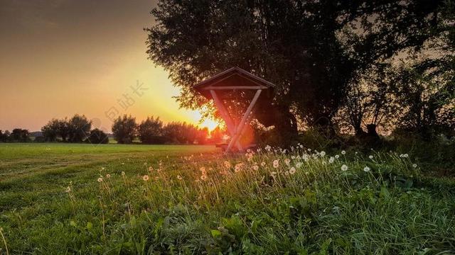 上午 太阳 离 日出 心情 MORGENSTIMMUNG 早上好