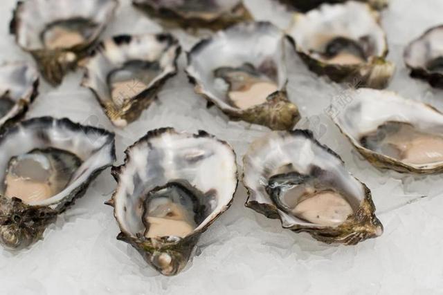 牡蛎 壳鱼 海鲜 外壳 鱼 食品 新鲜 海 贝类 美食