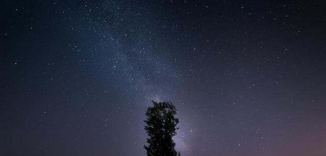星空 银河 树 PPT背景 壁纸 夜空