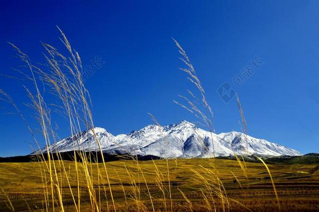 祁连 雪山 牛心山