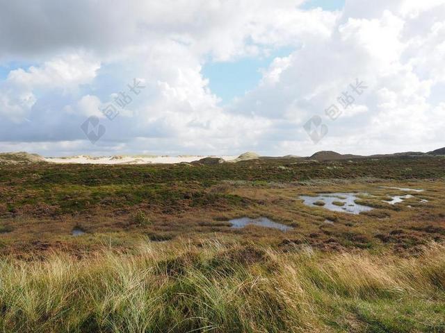 HEATHLAND 沙丘 泥炭沼泽 石楠 健康区域 健康的生态系统
