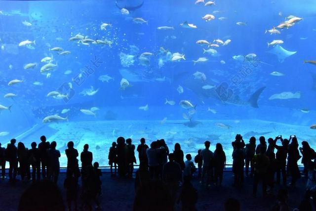 美丽水族馆 水族馆 水箱 冲绳