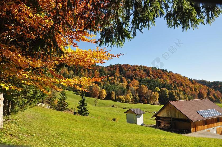 秋季 秋 秋天的心情 性质 金色的秋天 秋天的颜色 出现 景观