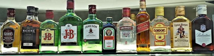 酒类 饮料 精神 酒精 威士忌 威士忌酒 杜松子酒 朗姆酒