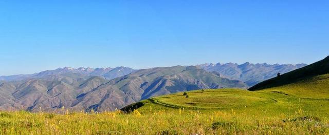 性质 土耳其 景观 自然景观  天然土耳其 草原
