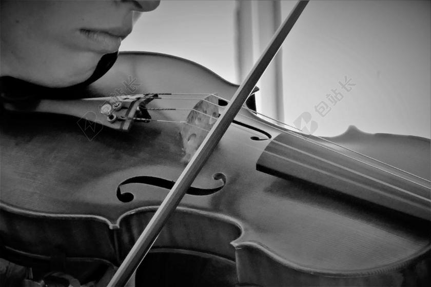小提琴 乐器 音乐 仪器 经典 字符串 木 弦乐器 音乐家