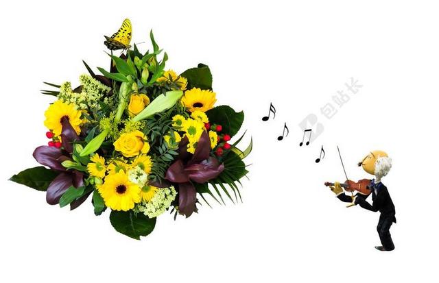 情感 感情 生日 贺卡 迎接 花束 花卉问候语 爱情 音乐