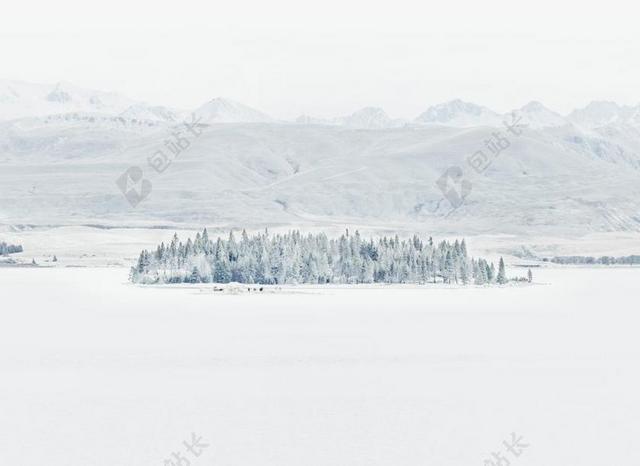 冬天 雪 雪景 雪松