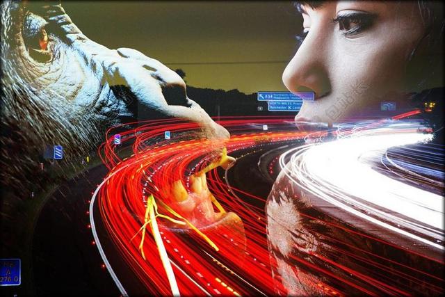 波普艺术 美丽 女子 猴子 盯着 脸 面对 眼睛 夜 公路
