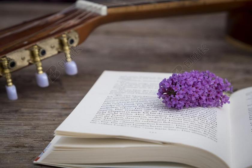 本书 教育 页 读取 文学 学习 培训 教育学 研究 阅读