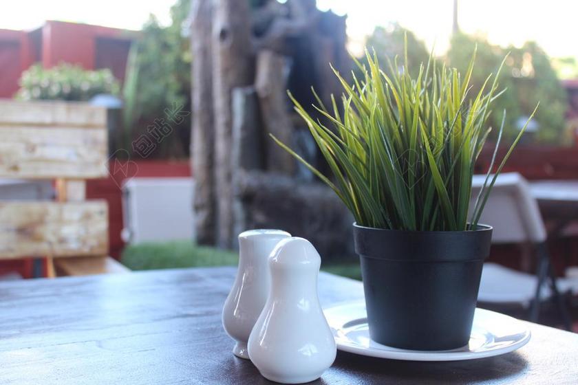 餐饮 晚餐 餐厅 表 外出用餐 植物 盐 胡椒 桌上 设置
