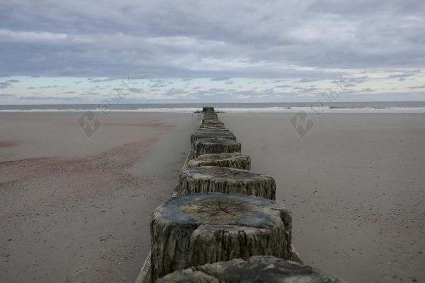 海滩 木 沙 海 残骸 性质 衰变 海岸 景观