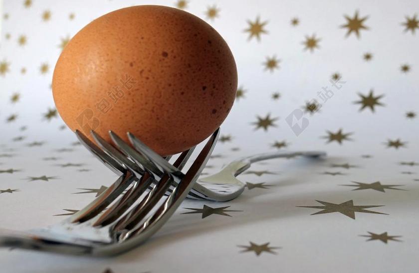 福克 鸡蛋 刀具 食品 生命的起源 营养 弗里施