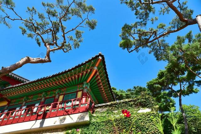 寺庙 韩国 仁川 GANGHWADO 电光源公司 寺 节 佛教
