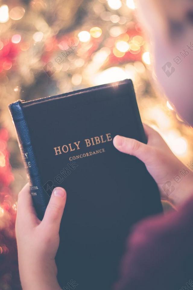 圣 书 圣经 阅读 宗教 手