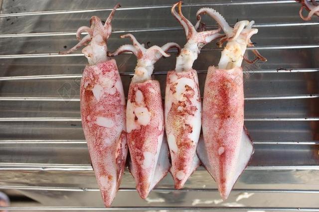 墨水 鱿鱼 海鲜 尖竹汶府 泰国 食品 美味 碳烤的鱿鱼 菜