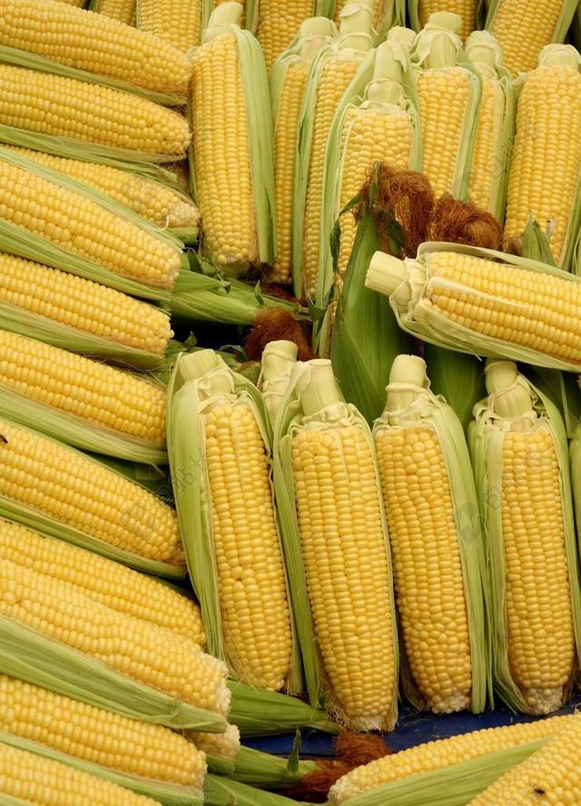 玉米 玉米棒 蔬菜 食品 玉米穗轴头发上 蔬菜MAIS 爆米花