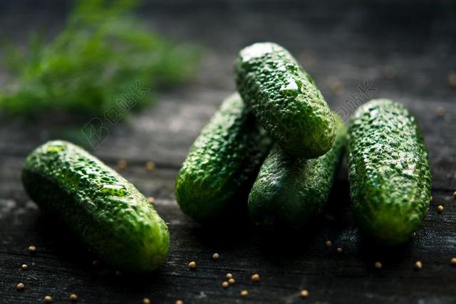 黄瓜 植物 绿色 食品 开胃菜