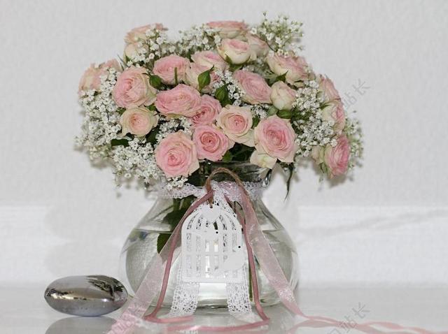 束玫瑰花 粉红色 爱 花束 玫瑰 开花 花 性质 谢谢