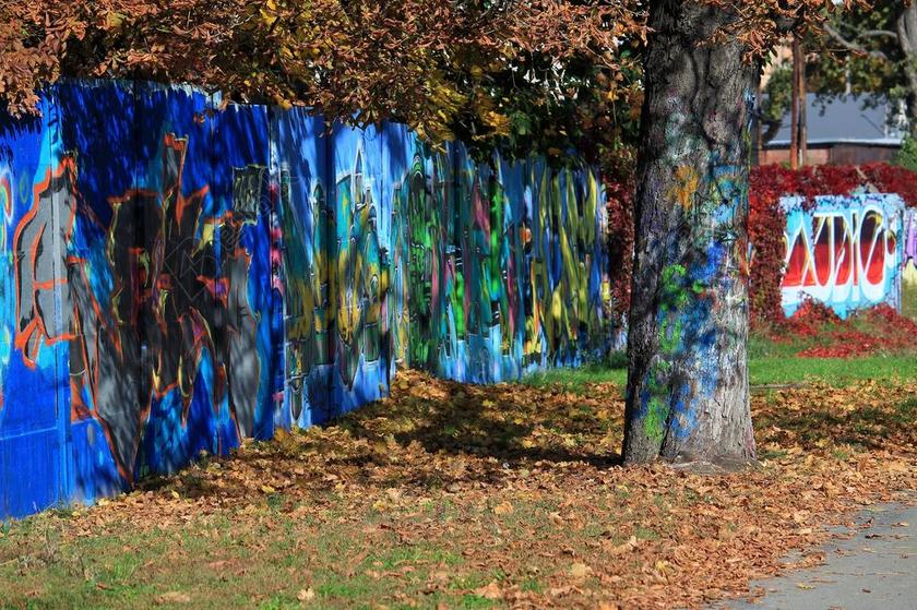 涂鸦 街头艺术 颜色 漆 喷雾 墙 艺术 文化 多彩