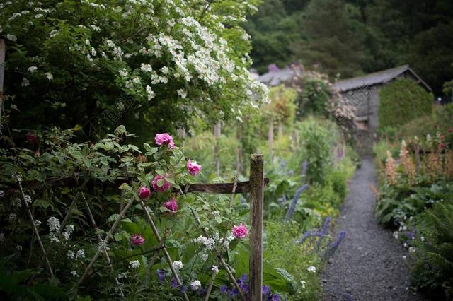 房子 首页 居住 外墙 花园 走道 植物 灌木 鲜花 篱笆