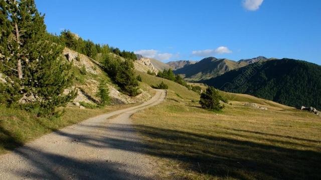 景观 路 性质 山 天空 冷杉 森林 绿色 小山 夏季