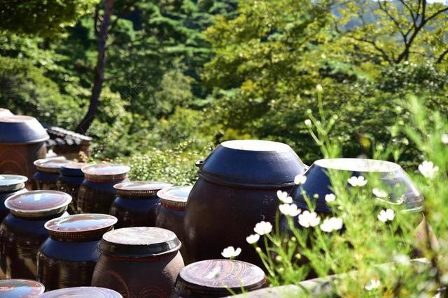 韩国 大韩民国 仁川 GANGHWADO 电光源公司 章阅读