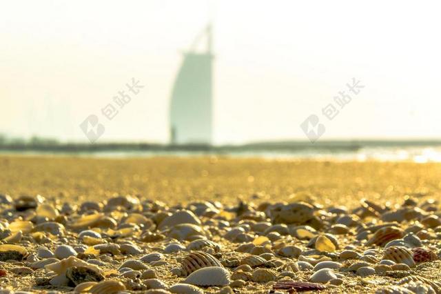 迪拜 海滩 炮弹 海 砂 扇贝 贝壳 海岸 夏天 桑迪海滩