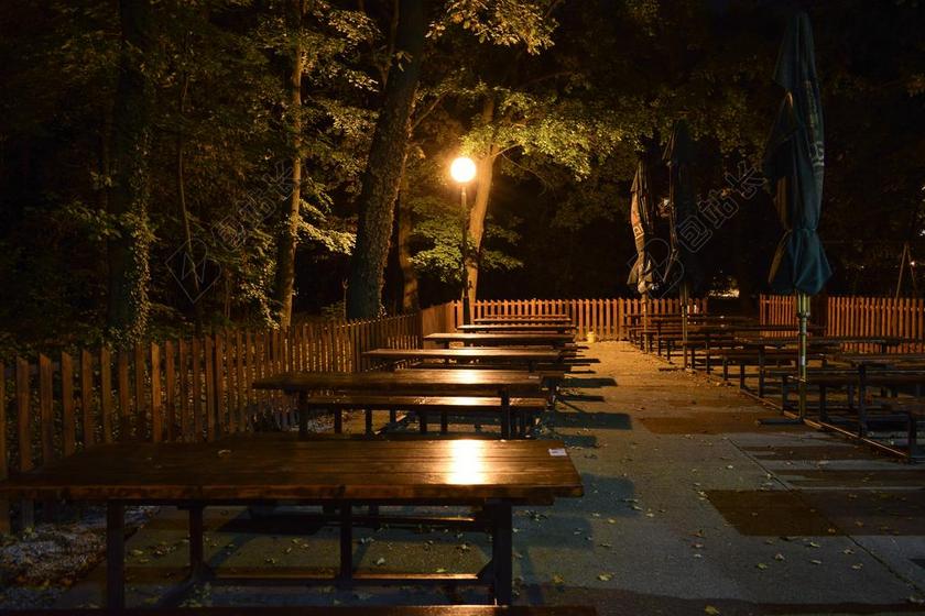 夜 酒吧 晚上的酒吧 表 空虚 光 树 小酒馆 酒吧间