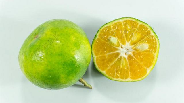 亚洲绿色橘子 维生素 C 橙色 桔子 孤立 水果 柑橘 切片