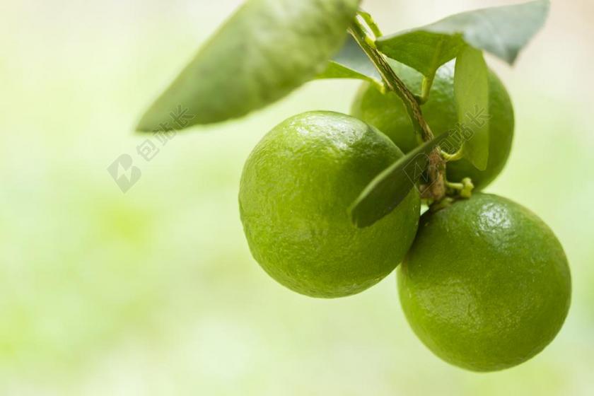 柠檬 维生素C 果汁 饮料 水果 柑橘类水果 健康 食品