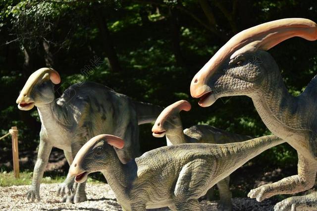恐龙 DINOPARK 动物园 动物 蜥蜴 大自然 访问
