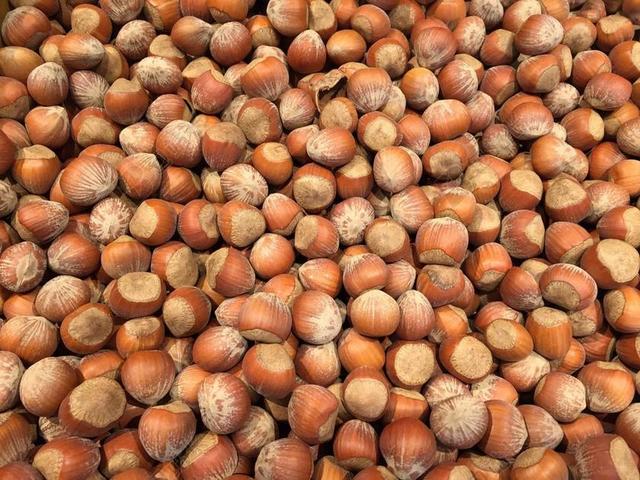 榛子 坚果 食品 健康 成分 种子 小吃 素 有机 果壳