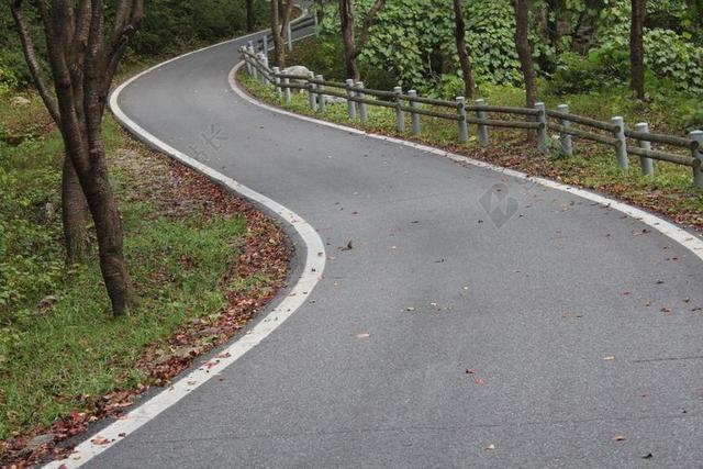 吉 大自然 在森林里 路 景观 木材 沿直线道路前进 秋季