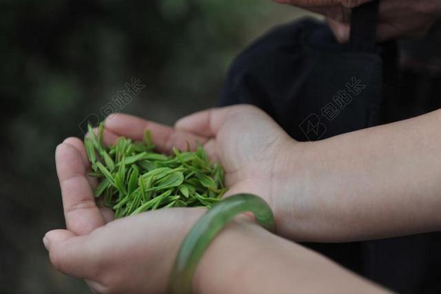 茶 手 茶叶