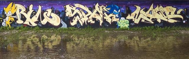 艺术 涂鸦 墙 HAUSWAND 丰富多彩 街头艺术 壁画