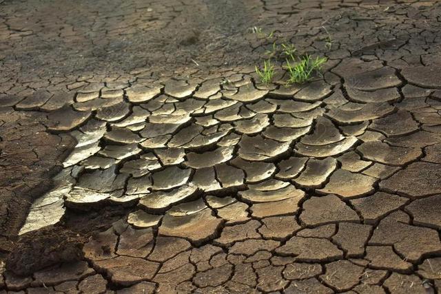 干旱 干泥 破解 干旱的土地 气候变暖 地面 裂纹