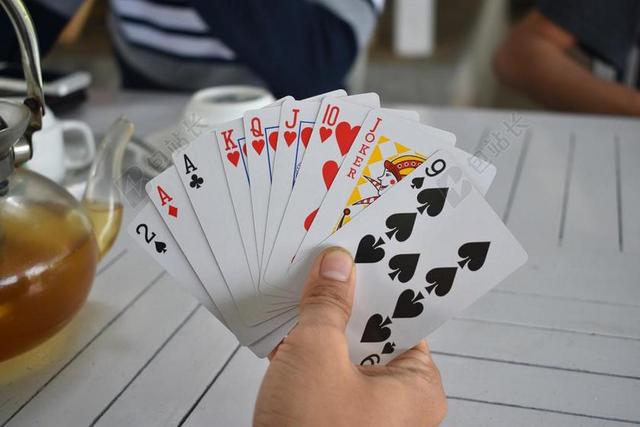 玩扑克牌 卡 游戏 扑克 拉斯维加斯 赌场 休闲