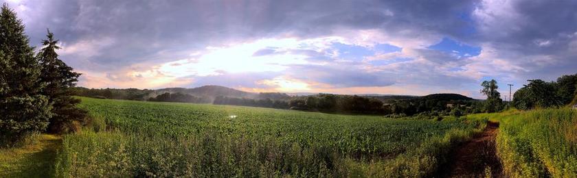 景观 原野 阳光 薄雾 绿色 自然 夏天 农村 天空 蓝色