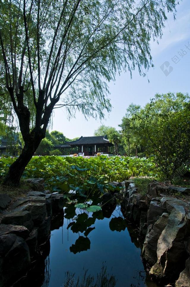 旅游清新苏州启园背景图片