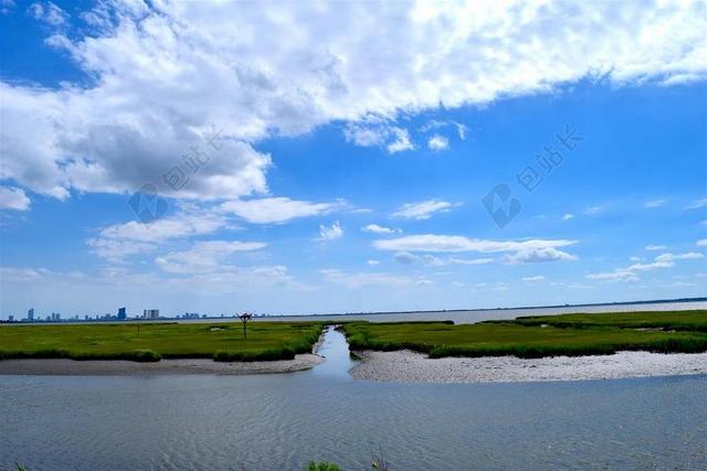 水 海岸线 江滩 河口 草 晚间 自然 马什 绿色 景观