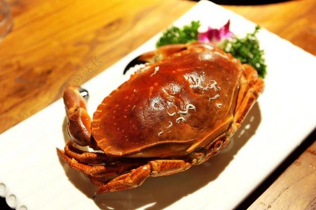 红色美食餐饮海鲜大螃蟹