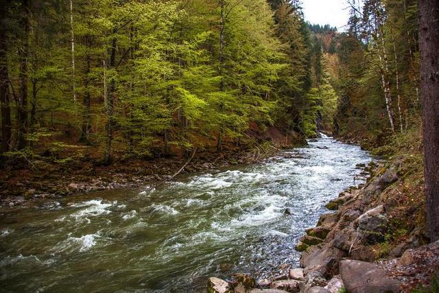 BREITACHKLAMM 巴伐利亚 峡谷 山间溪流 水 私语