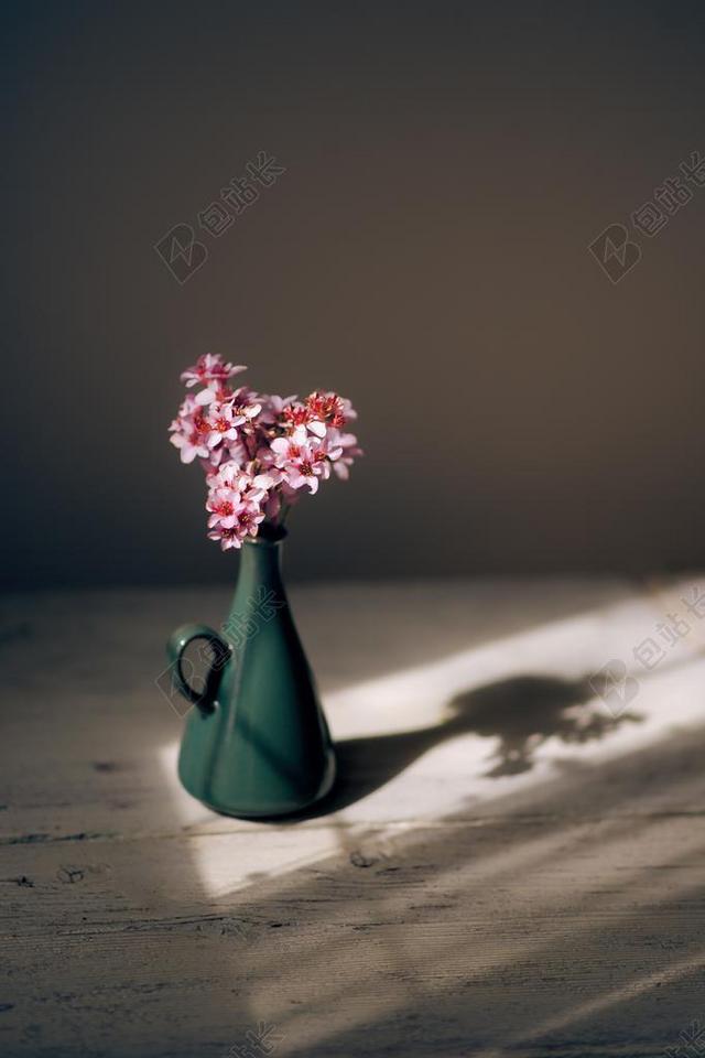 粉红色 花 花瓣 花瓶 显示 植物 自然 表 晚间